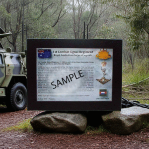 1st Combat Signal Regiment