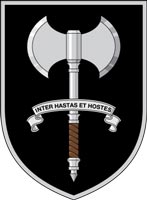 Special Operations Engineer Regiment