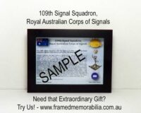 109 Signal Squadron