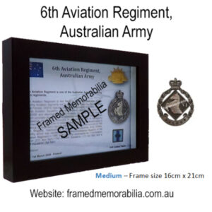 (6 Avn Regt)