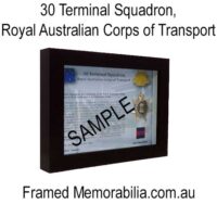 30 Terminal Squadron