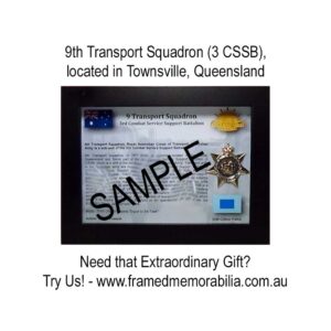 9th Transport Squadron (9 Tpt Sqn)