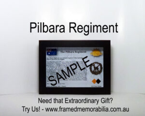 The Pilbara Regiment