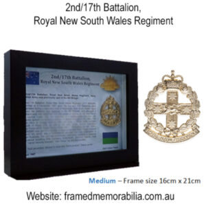 2nd 17th battalion