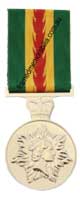 Australian Fire Service Medal (AFSM)