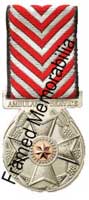 Ambulance Service Medal