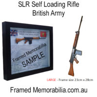 Self Loading Rifle (SLR)