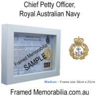 Chief Petty Officer (CPO)