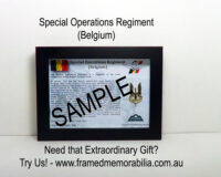 Special Operations Regiment - Belgium