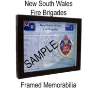 New South Wales Fire Brigades