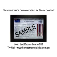 Commissioner’s Commendation for Brave Conduct