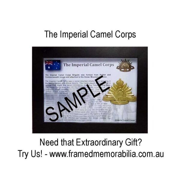 Imperial Camel Corps | Badge Framed for Display