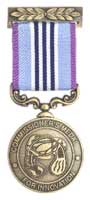 Commissioner’s Medal for Innovation