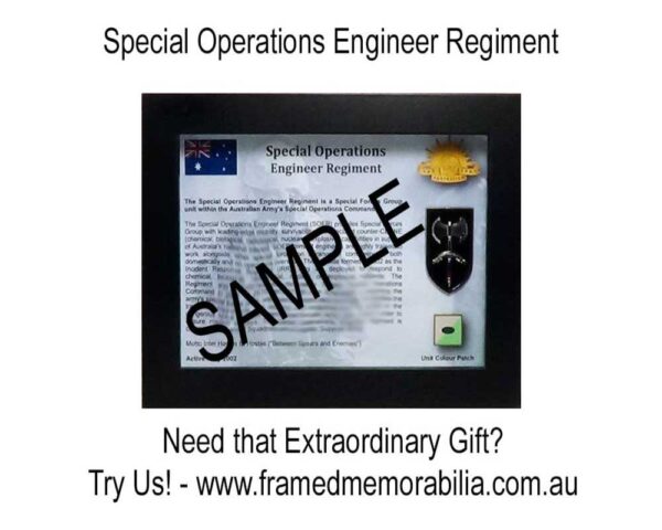 Special Operations Engineer Regiment SOER