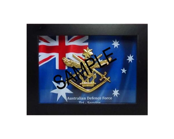 frame displaying Gold colour Tri-Service Plaque Badge