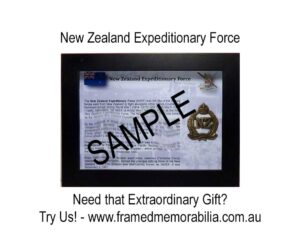 New Zealand Expeditionary Force