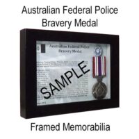 The AFP Bravery Medal is awarded to individuals who have performed in the discharge of their duty, an act of bravery of a high order and placed themselves at substantial risk of personal injury.