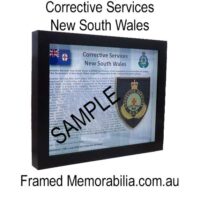 Corrective Services NSW (CSNSW)