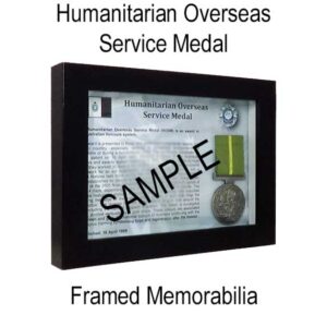 Humanitarian Overseas Service Medal