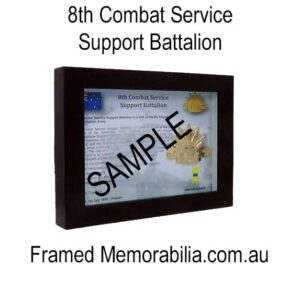 8th Combat Service Support Battalion (8 CSSB)