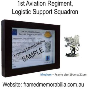 1st Aviation Regiment, Logistic Support Squadron