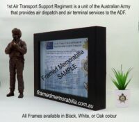 1st Air Transport Support Regiment