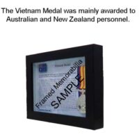 Vietnam Medal