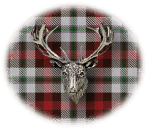 Clan Arnott is a Scottish Lowland clan of Scotland. Framed for display is the Kilt tartan, motto and crest displaying a stag head crest. Memorabilia.