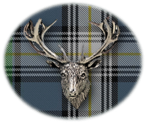 Clan MacDowall is a Scottish Lowland clan of Scotland. Framed for display is the Kilt tartan, motto, and crest displaying a stag head crest. Memorabilia.